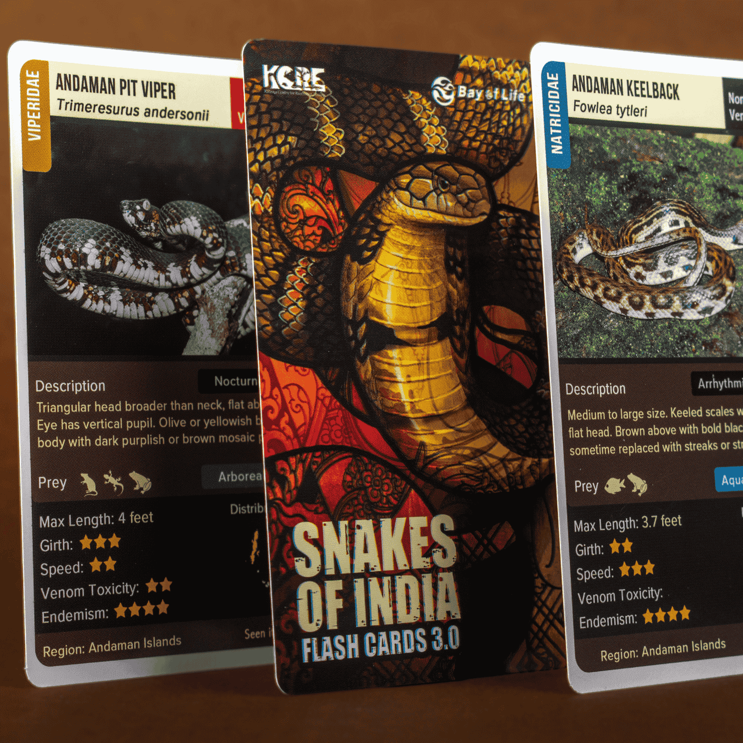 Snakes Of India Cards - Image 3